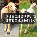 铁建重工业绩快报：海外营收同比增长512.04%（图2）