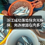 浙江成功落地包含光模块、光连接器在内多个产业项目（图3）