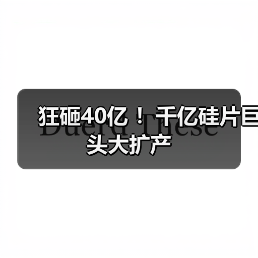 狂砸40亿 ！千亿硅片巨头大扩产（图1）