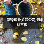 赣锋锂业关联公司挂牌新三板(图2) 赣锋锂业关联公司挂牌新三板(图2)