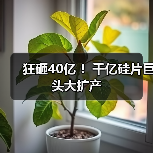 狂砸40亿 ！千亿硅片巨头大扩产（图2）