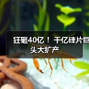 狂砸40亿 ！千亿硅片巨头大扩产（图3）
