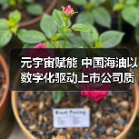 元宇宙赋能 中国海油以数字化驱动上市公司质量提升（图4）