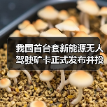 我国首台套新能源无人驾驶矿卡正式发布并投入使用（图2）