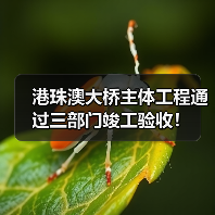 港珠澳大桥主体工程通过三部门竣工验收！