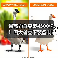 最高力争突破4300亿元！四大省立下装备制造业flag（图2）