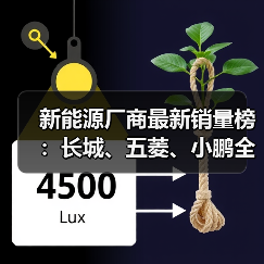 新能源厂商最新销量榜：长城、五菱、小鹏全部接近腰斩（图2）