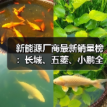 新能源厂商最新销量榜：长城、五菱、小鹏全部接近腰斩（图3）
