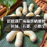 新能源厂商最新销量榜：长城、五菱、小鹏全部接近腰斩（图1）