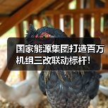 国家能源集团打造百万机组三改联动标杆！