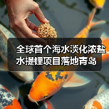 全球首个海水淡化浓盐水提锂项目落地青岛（图4）