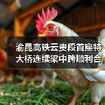 渝昆高铁云贵段首座特大桥连续梁中跨顺利合龙（图3）