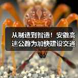 从制造到智造！安徽高速公路为加快建设交通强国提供助力（图2）