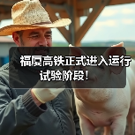 福厦高铁正式进入运行试验阶段！（图4）