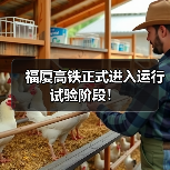 福厦高铁正式进入运行试验阶段！（图2）