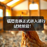 福厦高铁正式进入运行试验阶段！（图3）