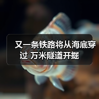 又一条铁路将从海底穿过 万米隧道开掘（图4）