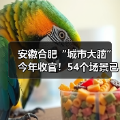 安徽合肥“城市大脑”今年收官！54个场景已完成（图4）