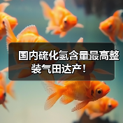 国内硫化氢含量最高整装气田达产！（图3）