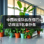 中国救援队伍在缅已成功救出9名幸存者