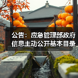 公告：应急管理部政府信息主动公开基本目录（图3）
