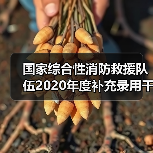 国家综合性消防救援队伍2020年度补充录用干部面试公告(图2) 国家综合性消防救援队伍2020年度补充录用干部面试公告(图2)
