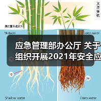 应急管理部办公厅 关于组织开展2021年安全应急装备应用试点示范工程申报的通知(图3) 应急管理部办公厅 关于组织开展2021年安全应急装备应用试点示范工程申报的通知(图3)