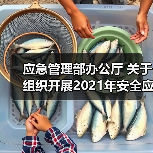 应急管理部办公厅 关于组织开展2021年安全应急装备应用试点示范工程申报的通知(图1) 应急管理部办公厅 关于组织开展2021年安全应急装备应用试点示范工程申报的通知(图1)