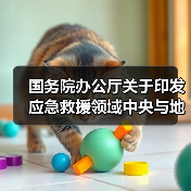国务院办公厅关于印发应急救援领域中央与地方财政事权和支出责任划分改革方案的通知(图3) 国务院办公厅关于印发应急救援领域中央与地方财政事权和支出责任划分改革方案的通知(图3)