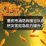 重庆市消防救援总队自然灾害应急能力提升工程消防装备建设项目(特种灾害救援类装备)(结余资金部分)(包5-包8)公开招标公告(图1) 重庆市消防救援总队自然灾害应急能力提升工程消防装备建设项目(特种灾害救援类装备)(结余资金部分)(包5-包8)公开招标公告(图1)