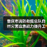 重庆市消防救援总队自然灾害应急能力提升工程消防装备建设项目(特种灾害救援类装备)(结余资金部分)(包5-包8)公开招标公告(图4) 重庆市消防救援总队自然灾害应急能力提升工程消防装备建设项目(特种灾害救援类装备)(结余资金部分)(包5-包8)公开招标公告(图4)