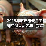 2019年度注册安全工程师注册人员名单(第二批)(图3) 2019年度注册安全工程师注册人员名单(第二批)(图3)