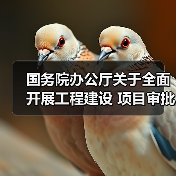 国务院办公厅关于全面开展工程建设 项目审批制度改革的实施意见(图3) 国务院办公厅关于全面开展工程建设 项目审批制度改革的实施意见(图3)