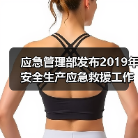 应急管理部发布2019年安全生产应急救援工作要点!(图1) 应急管理部发布2019年安全生产应急救援工作要点!(图1)