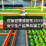 应急管理部发布2019年安全生产应急救援工作要点!(图2) 应急管理部发布2019年安全生产应急救援工作要点!(图2)