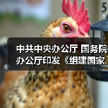 中共中央办公厅 国务院办公厅印发《组建国家综合性消防救援队伍框架方案》(图3) 中共中央办公厅 国务院办公厅印发《组建国家综合性消防救援队伍框架方案》(图3)