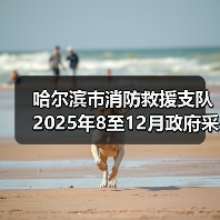 哈尔滨市消防救援支队2025年8至12月政府采购意向（图3）