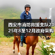 西安市消防救援支队2025年8至12月政府采购意向-西安市消防救援支队专业队装备建设采购项目详细情况（图2）