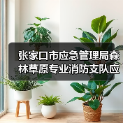 张家口市应急管理局森林草原专业消防支队应急救援装备购置A包、B包公开招标公告(图1) 张家口市应急管理局森林草原专业消防支队应急救援装备购置A包、B包公开招标公告(图1)
