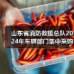 山东省消防救援总队2024年车辆部门集中采购项目一公开招标公告(图4) 山东省消防救援总队2024年车辆部门集中采购项目一公开招标公告(图4)