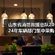山东省消防救援总队2024年车辆部门集中采购项目二公开招标公告(图4) 山东省消防救援总队2024年车辆部门集中采购项目二公开招标公告(图4)