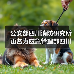 公安部四川消防研究所更名为应急管理部四川消防研究所(图3) 公安部四川消防研究所更名为应急管理部四川消防研究所(图3)