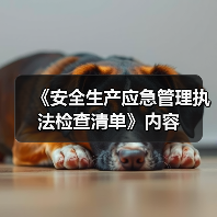 《安全生产应急管理执法检查清单》内容（图3）