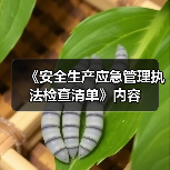 《安全生产应急管理执法检查清单》内容（图1）