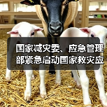 国家减灾委、应急管理部紧急启动国家救灾应急响应 帮助江西做好严重暴雨洪涝灾害救灾工作(图4) 国家减灾委、应急管理部紧急启动国家救灾应急响应 帮助江西做好严重暴雨洪涝灾害救灾工作(图4)