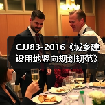 CJJ83-2016《城乡建设用地竖向规划规范》解读(图2) CJJ83-2016《城乡建设用地竖向规划规范》解读(图2)