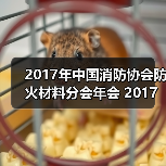 2017年中国消防协会防火材料分会年会 2017年中国消防协会建筑防火专业委员会年会 暨第十届全国建筑防火与防火材料学术研讨会 会 议 通 知（第一轮）（图4）