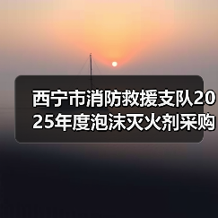 西宁市消防救援支队2025年度泡沫灭火剂采购项目(图3) 西宁市消防救援支队2025年度泡沫灭火剂采购项目(图3)