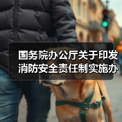 国务院办公厅关于印发消防安全责任制实施办法的通知(图4) 国务院办公厅关于印发消防安全责任制实施办法的通知(图4)