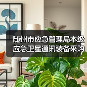 随州市应急管理局本级应急卫星通讯装备采购招标公告(图2) 随州市应急管理局本级应急卫星通讯装备采购招标公告(图2)
